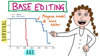 Base editing doubles lifespan in progeria mouse model [upl. by Hansen924]