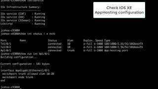 Cisco Catalyst 9300 with Application Hosting  iperf3 demo with front panel port connectivity [upl. by Adoh698]