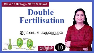 Double fertilization  Triple Fusion in Tamil [upl. by Neuberger]