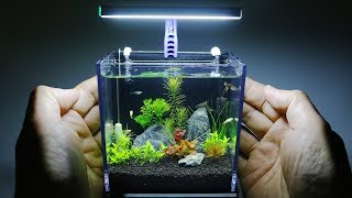 The Worlds Smallest Plant Aquarium 1 [upl. by Rutter399]