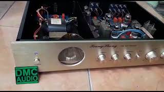 XSNN tube preamp test by DMC Audio [upl. by Kirsteni961]