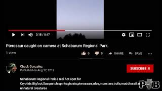 the quotPterosaur caught on camera at schabarum parkquot video [upl. by Khudari]