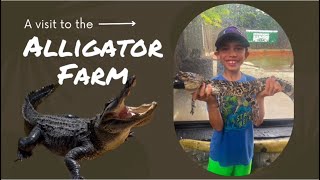 A Visit to the Alligator Farm [upl. by Ted524]