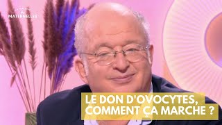 Le don dovocytes comment ça marche   La Maison des maternelles LMDM [upl. by Murrah]