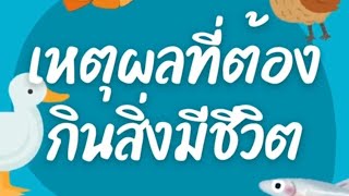 ตอนที่ 6 quotเหตุผลที่ต้องกินสิ่งมีชีวิตquot [upl. by Shayla]