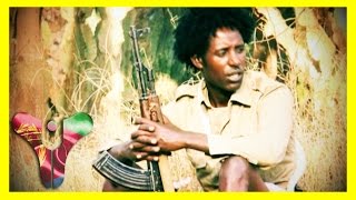 Eritrean Music Beraki Gebremedhin  Metshaf Jigninet  2015  Halenga Eritrea [upl. by Narbig]