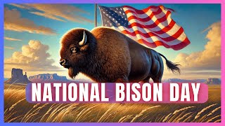 National Bison Day Discover the Untold Legacy of America’s Largest Land Mammal [upl. by Pontius]