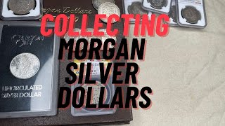 ❗️MORGAN SILVER DOLLARS❗️ A Painful journey to collecting them all❗️ [upl. by Nels]