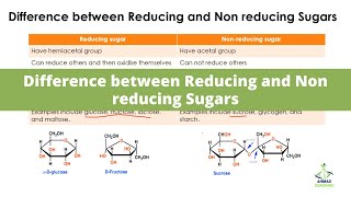 Difference between Reducing and Non reducing Sugars [upl. by Notsuoh]