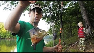 How to catch catfish from the bank  Bank fishing for catfish [upl. by Franni]