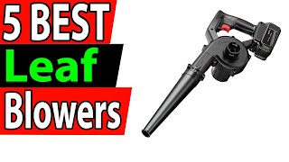 5 Best Cordless Leaf Blowers Review 2024 [upl. by Erodaeht252]