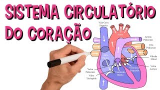 ✅ SISTEMA CARDIOVASCULAR  SISTEMA CIRCULATÓRIO DO CORAÇÃO [upl. by Nadine918]