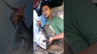 tuna fish cutting skills [upl. by Reese]