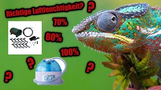 Wie WICHTIG ist LUFTFEUCHTIGKEIT für CHAMÄLEONS  Chamäleon Basics [upl. by Anahtor888]