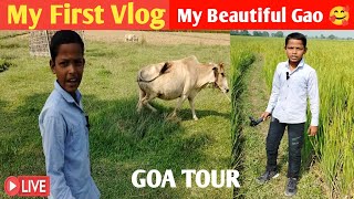 My First Vlog  My Goa Tour 🥰 [upl. by Hamrah546]