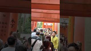 crowded fushimi inari shrine [upl. by Llekcm]