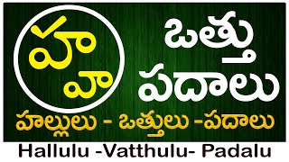 Ha Vattu Padalu  How to write Ha vattu  హ వత్తు పదాలు  Hallulu vatthulu padalu in telugu [upl. by Peppi]