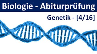 Biologie Abiturprüfung 2024  Aufgaben Genetik 12  Abitur Biologie 416 [upl. by Moon]