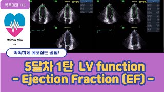 Ejection Fraction EF LV systolic function  심장기능 echocardiography 심장초음파 심박출률  stroke volume [upl. by Hawkie]