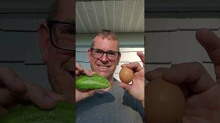 How To Turn A Cucumber Into An Egg farmlife homestead growyourownfood eggs cucumber garden [upl. by Arlena]