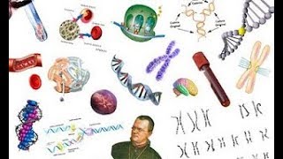 Homogeneidad y diversidad de la genética humana actual de la Península Ibérica e Islas Canarias [upl. by Noell674]