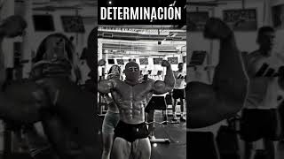 Video de motivación personal [upl. by Takashi]