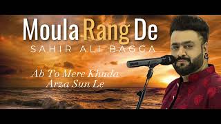 Rang de Moula  Sahir Ali Bagga [upl. by Artimed]