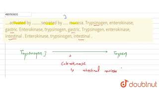 activated by secreted by \nmucosa\nTrypsinogen enterokinase gastric\nEnter [upl. by Ellenuahs736]