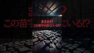 苗字に隠された先祖の社会的地位 [upl. by Bondon]