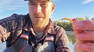 Crappie Plastics Colors Beginners Guide How To Catch Crappie [upl. by Ahsienel]