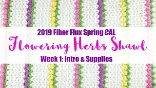 2019 Fiber Flux Spring CAL Flowering Herbs Shawl Week 1 [upl. by Lenwood41]