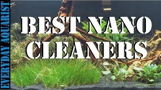 Best Cleaners For Nano And Small Aquariums [upl. by Strohben]