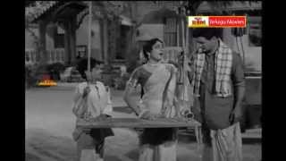 Mamidi komma Malli Malli Pooyunule  quotTelugu Movie Full Video Songsquot  RamuNTRJamuna [upl. by Aderb]