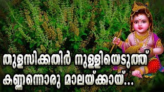 തുളസിക്കതിർ നുള്ളിയെടുത്ത്  Thulasikathir Nulliyeduthu Female  Sree Krishna Devotioanal Songs [upl. by Atalanti]