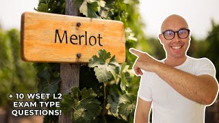 Merlot WSET Level 2 in Wines 10 WSET exam type questions [upl. by Katonah]