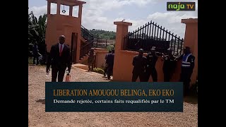 Libération de Amougou Belinga et Eko Eko [upl. by Fielding]