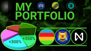 Best Portfolio for 2025 Crypto Bull Run Top Altcoins [upl. by Yenattirb99]