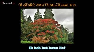 Gedicht Toon Hermans quotIk heb het leven liefquot [upl. by Archer385]