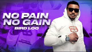 Bird Loo  No Pain No Gain Official Audio [upl. by Assina]