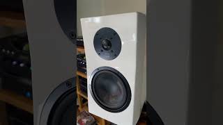 SVS Ultra Evolution Reference Bookshelf Speakers playing AIR [upl. by Anitsua]