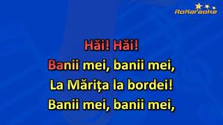 EtnoDanceLa bordeiul cel din vale Karaoke DEMO [upl. by Rotceh]