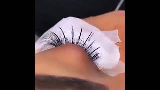 how to style lash hybrid look volume fans wispy extensions eyelash extension from baisi lashes [upl. by Kapeed912]