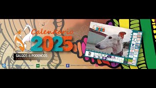 Galgos y Podencos Cantabria lanzamiento Calendario 2025 [upl. by Assilla]