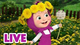 🔴 LIVE Maşa İle Koca Ayı 🌾 Bitkiler ve çiçekler hakkında her şeyi öğrenin 🌻🌱 Masha and the Bear [upl. by Nailliw893]