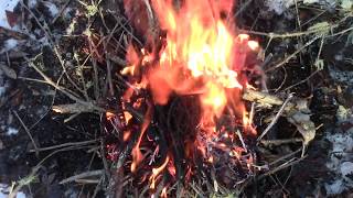 How To Light A Fire When The Woods Are Wet [upl. by Christa]