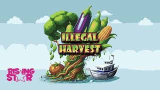 Illegal Harvest  Gameplay Trailer for Rising Star 2024 [upl. by Alaehs]