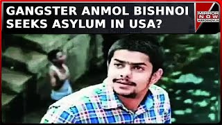 Fugitive Gangster Anmol Bishnoi Sought Asylum In USA To Avoid Deportation To India  Crime News [upl. by Ayila]