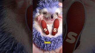 🔥 OS PERSONAGENS DE SONIC NA VIDA REAL [upl. by Eloise779]