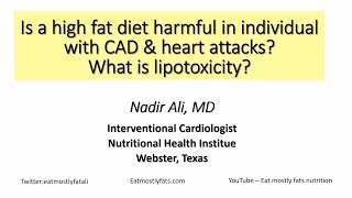 Dr Nadir Ali presentation High Fat Diets Heart Attacks and Lipotoxicity [upl. by Llacam]