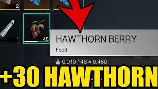 ONCE HUMAN BEST HAWTHORN BERRY LOCATION [upl. by Intisar]